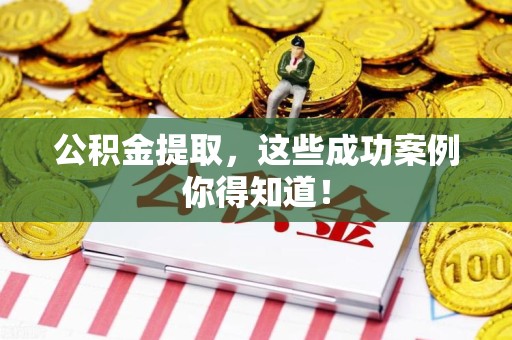 桐城公积金提取，这些成功案例你得知道！