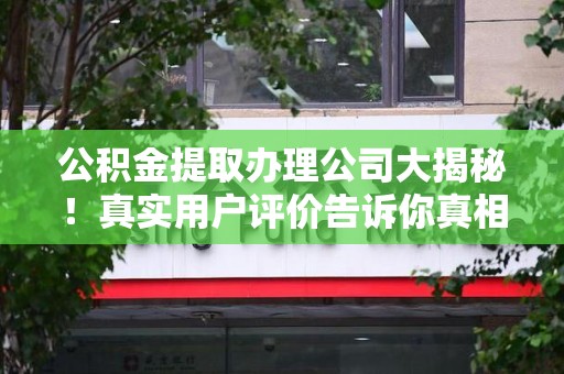 桐城公积金提取办理公司大揭秘！真实用户评价告诉你真相